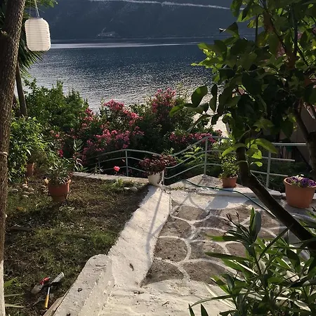 Διαμέρισμα δελφίνι Βασιλική